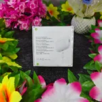 AirPods Pro 2nd Gen Inspired Edition ট্রু ওয়্যারলেস ইয়ারবাডস - Image 4